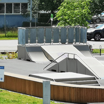Skatepark Flen1 Case Image